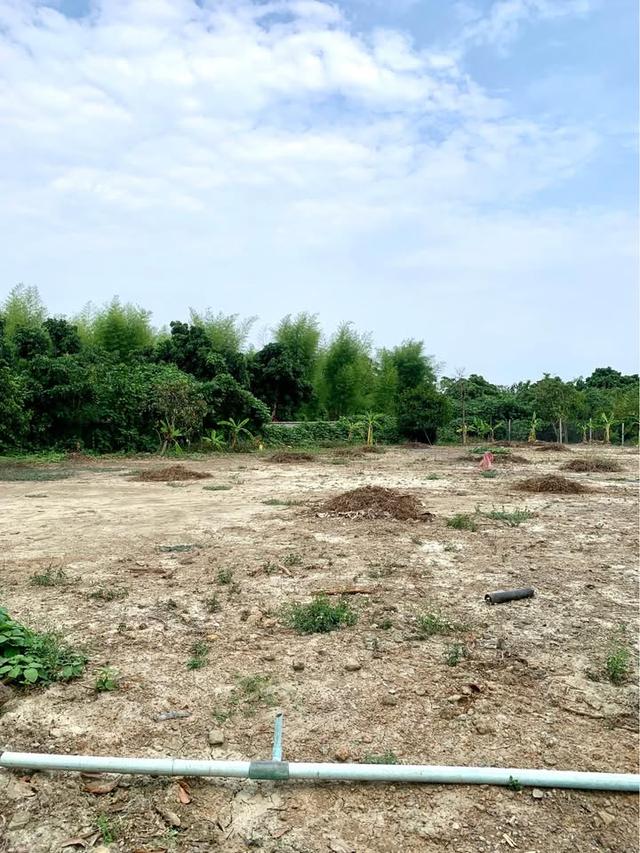 ขายที่ดินเปล่าใกล้ตัวเมืองเชียงใหม่เดินทางเพียง 30 นาที บ้านล่ามจันทร์ ต.น้ำแพร่ อ.หางดง จ.เชียงใหม่ ราคา 5,400,000 บาท 1