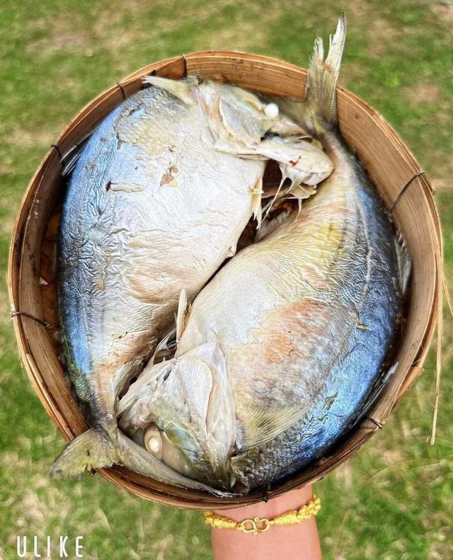 ปลาทู 500 กรัม 1