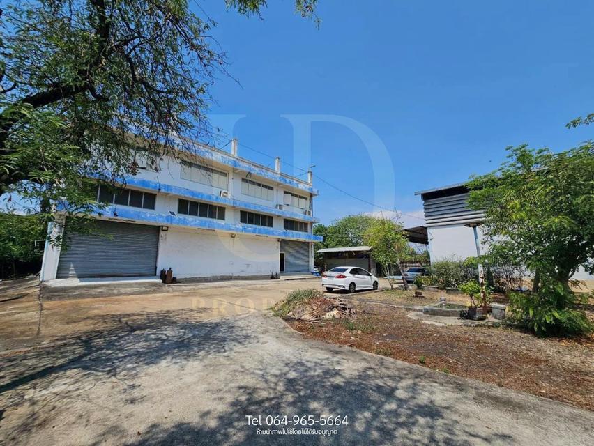 [ให้เช่า] โรงงาน/โกดัง 600 ตร.ว. พื้นที่สีม่วงแท้! จด รง.4 ได้  ทำเลเทียนทะเล 9 เชื่อมต่อพระราม 2ตอบโจทย์ทุกธุรกิจอุตสาหกรรม 1