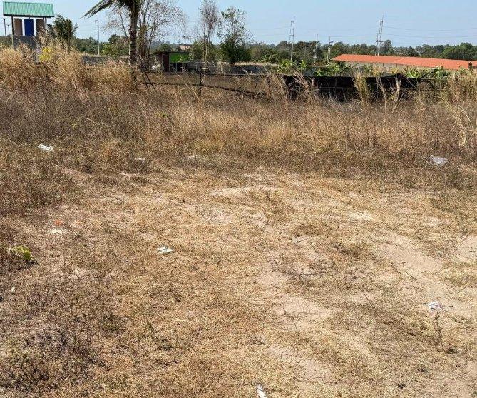 ขายที่ดินหนองปลาไหลถมแล้ว 100 ตรว. ซอยเทพนิมิตร3 ใกล้ถ.กระทิงลาย-ปลวกเกตุ36-4กม. อ.บางละมุง จ.ชลบุรี 1