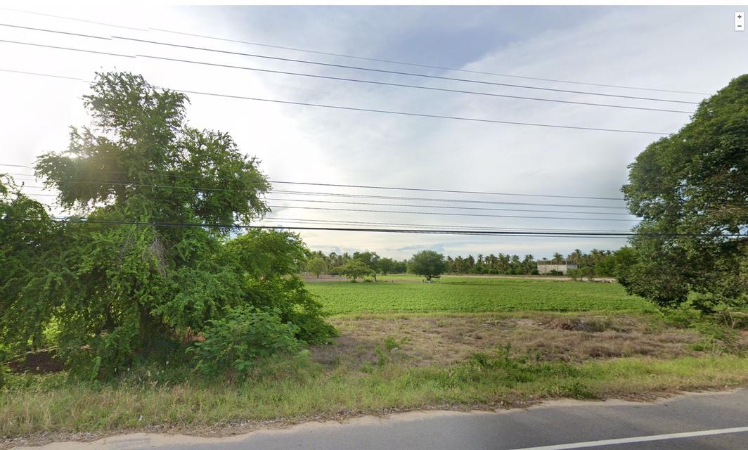 ขายที่ดินสวยประจวบ ติดหาดคลองวาฬ 6