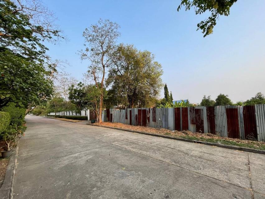 ขายที่ดินหมู่บ้านเสรีวิลล่า Seri Villa ศรีนครินทร์55 หน้าสวนหลวง ร.9 ที่ดิน 296ตร.ว ใกล้รถไฟฟ้าMrt 800ม. อยู่หลังพาราไดซ์พาร์ค ใกล้ซีคอน อุดมสุข บางนา 2