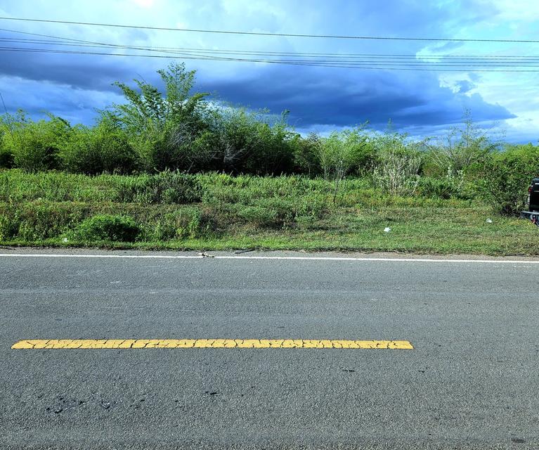 ขายที่ดินโฉนด61ไร่ ติดถนนลาดยางชนบท กจ4035 ต.หนองประดู่ อ.เลาขวัญ จ.กาญจนบุรี 6