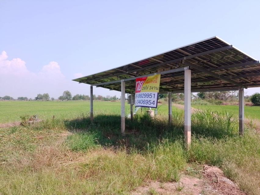 ขายที่ดิน 29 ไร่ 3 งาน 1