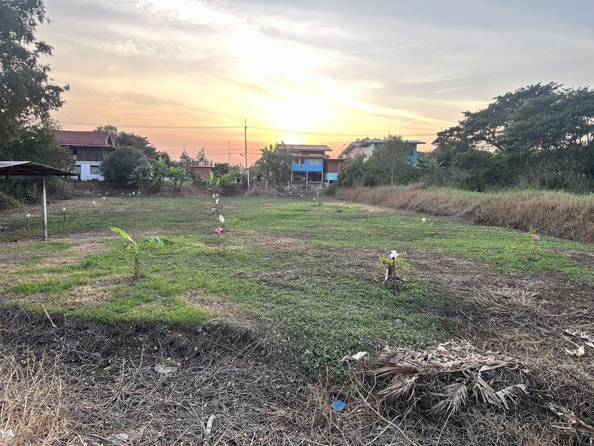 ขายที่ดิน 1 ไร่  950,000.- บาท อ.เมือง  พระนครศรีอยุธยา 1