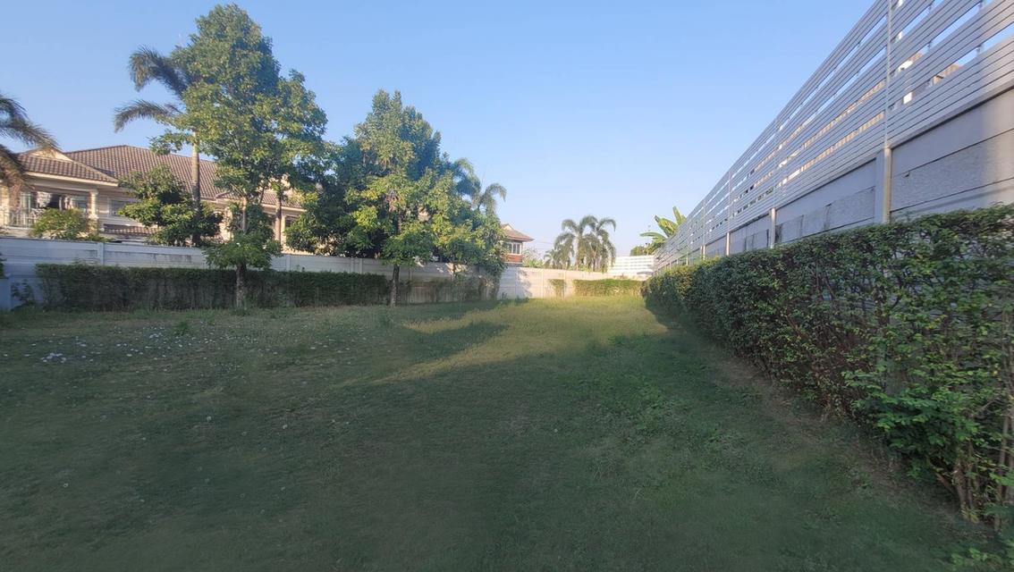 ขายที่ดินเปล่า แปลงมุม ที่ดินใหญ่ 137.70 ในโครงการ แกรนด์ พลีโน่ วัชรพล-สุขาภิบาล5 ติดถนนใหญ่ถนนสุขาภิบาล5 เดินทางสะดวก ใกล้2ทางด่วน 6