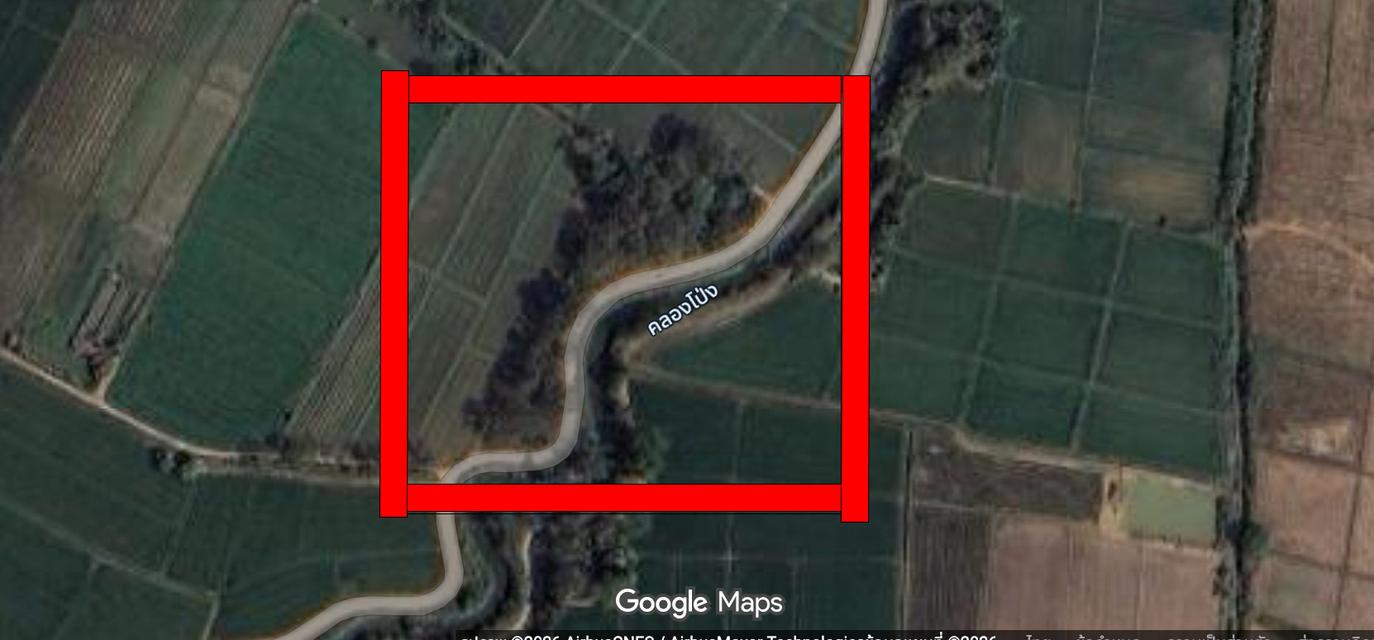 ขาย‼️ที่ดิน/มีไม้สัก ต.โป่งงาม อ.แม่สาย จ.เชียงราย 2