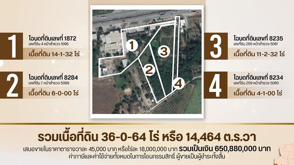 ขาย ที่ดิน ทำเลดี ติดถนนมิตรภาพ ต.หนองน้ำแดง อ.ปากช่อง รวม 4 โฉนด 2