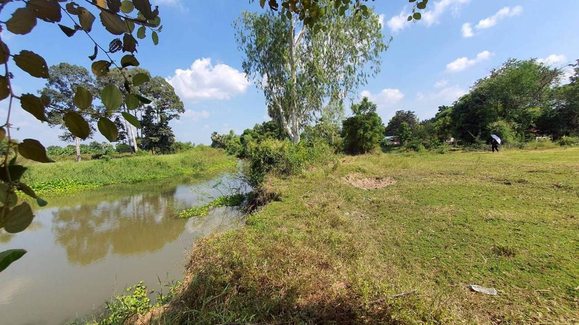 ที่ดิน อู๋ทอง สุพรรณบุรี 1