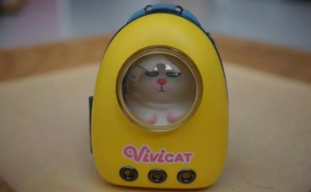 Vivicat แมวสุดกวน 4