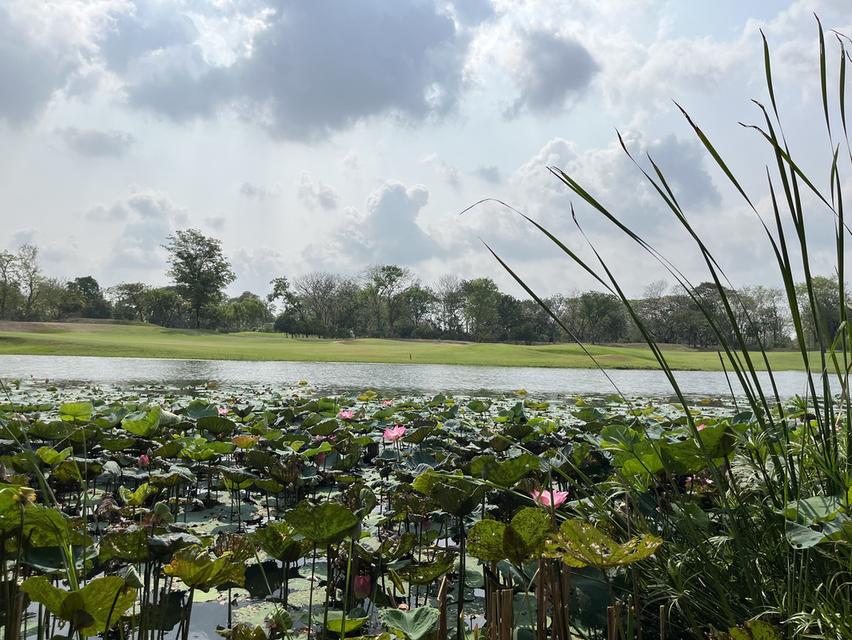 ขายที่ดินพร้อมสมาชิกกอล์ฟในบางไทรคันทรีคลับ 5