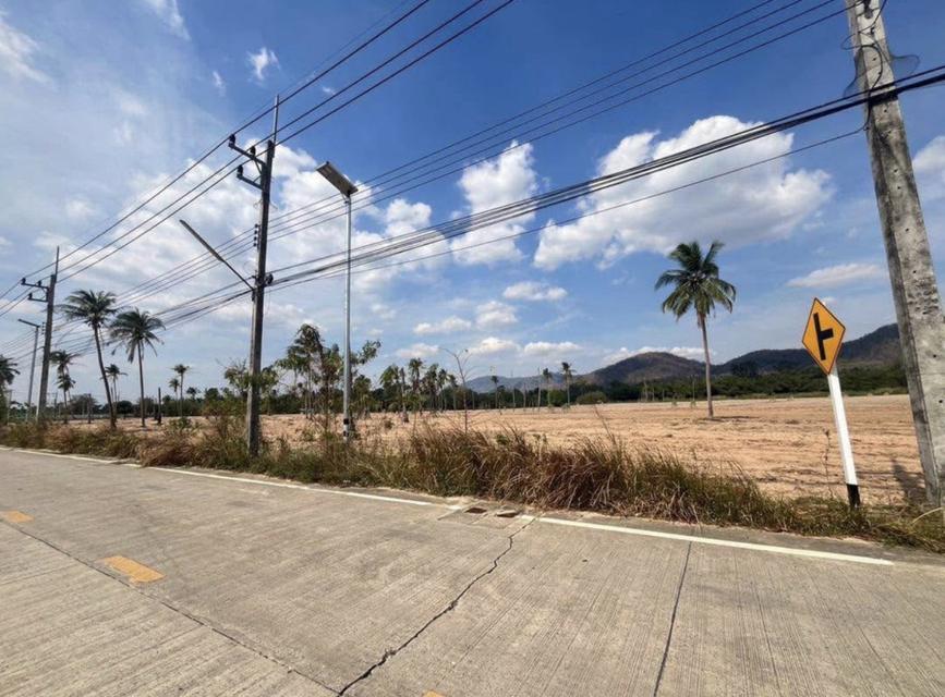 ขายที่ดินศักยภาพสูง ผังม่วงลาย (อุตสาหกรรม)  ชลบุรี บางละมุง นครแหลมชะบัง 3