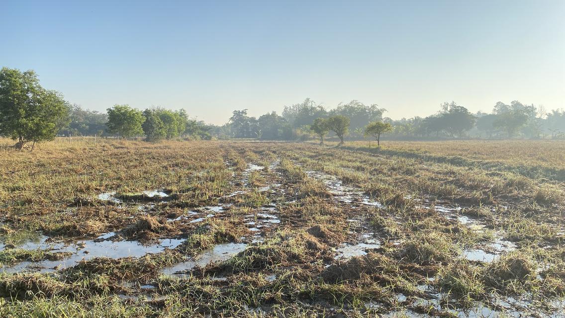 ขายที่ดิน 4 ไร่ 2.7ล้าน ในเมืองชัยภูมิ บ้านโพนทอง สี่แยกโรงต้ม 2