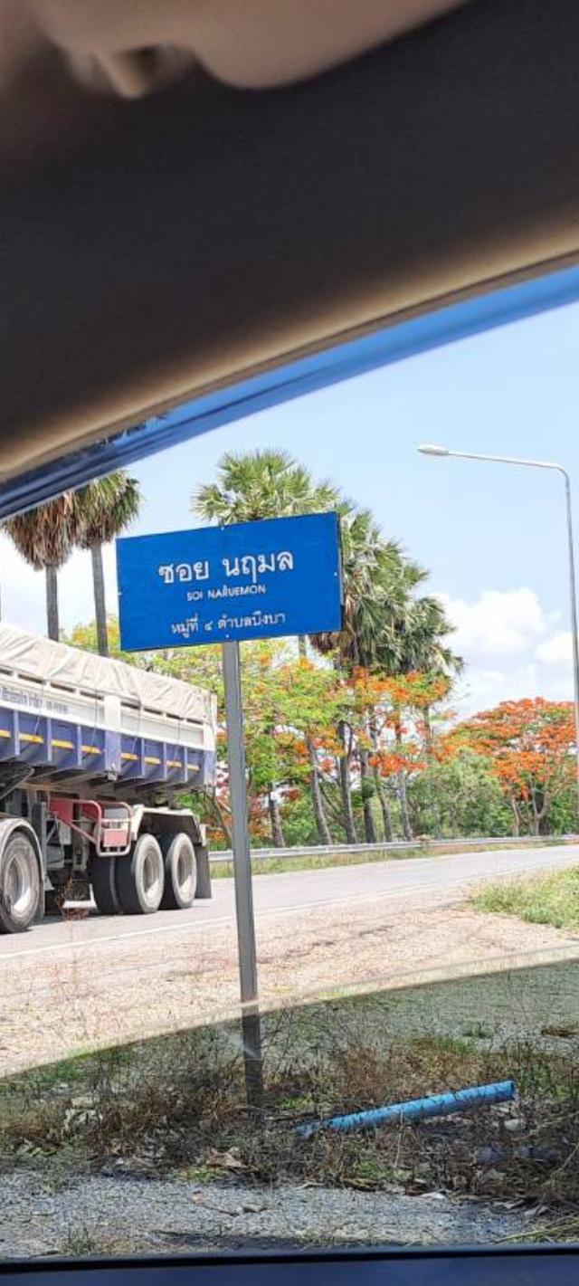 ที่ดินคลอง10 หนองเสือ  แปลงละ60 ตารางวา ราคา300000บาท 1