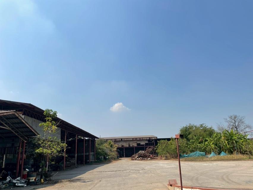 🔥 ด่วน! ขายที่ดิน 7 ไร่ พร้อมโรงงานมีใบ รง.4 + บ้านหรู 3 ชั้น | ทำเลทอง เมืองปทุมธานี 🔥 4