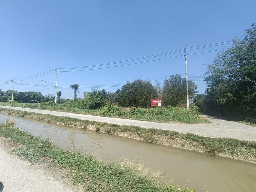ที่ดินเส้นของปูนหน้าธนาคารออมสินตำบลท่าเรืออำเภอท่าเรือจังหวัดพระนครศรีอยุธยา 1