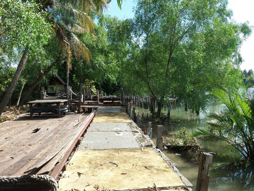 ที่ดินสวยติดแม่น้ำแม่กลอง 13