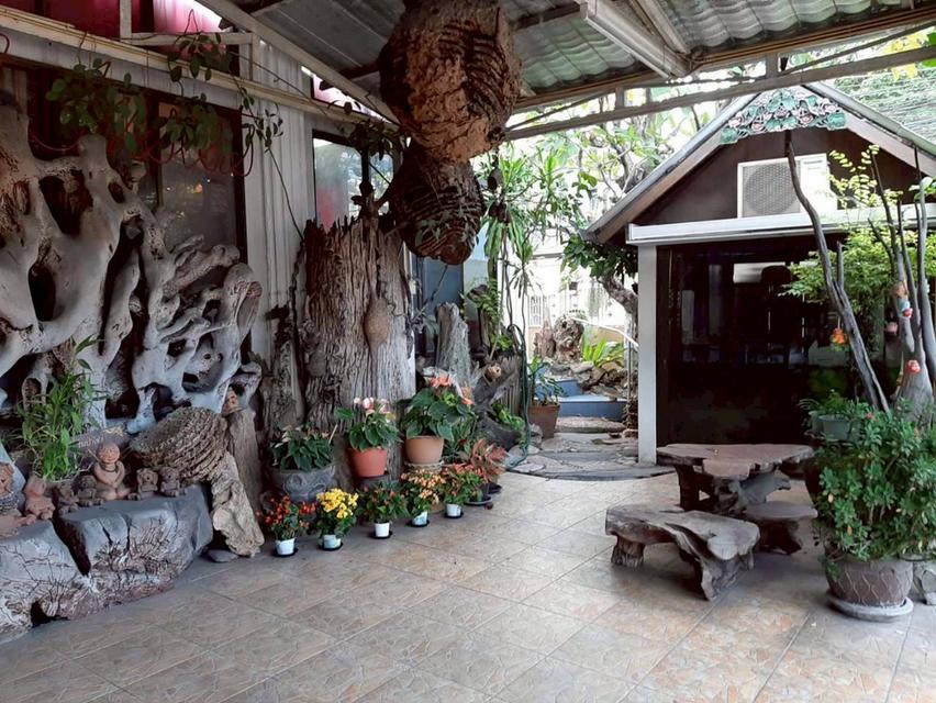 ขายด่วน บ้าน 4 ชั้นพร้อมที่ดิน +บ้านชั้นเดียว1หลัง แปลงมุม  เนื้อที่ 95.8 ตรว.ถนนนิมมานท์13 ทำเลดี หายาก น่าลงทุน 4