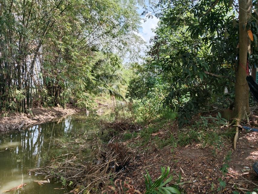 ขายบ้านสวน2ไร่ คลองหก คลองหลวง ปทุมธานี เส้นเดียวกับ ม.ราชมงคลคลองหก 13