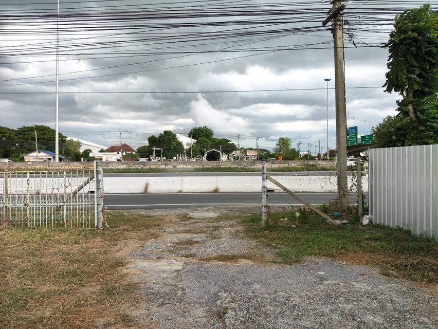 ขายที่ดินติดถนน 345 (สะพานนนทบุรี - บางบัวทอง) 8