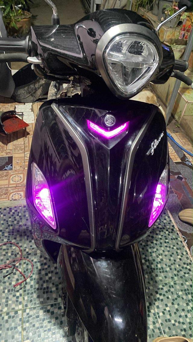 ไฟหรี่เลี้ยวกระพริบแฟลชสีม่วง หน้า หลัง