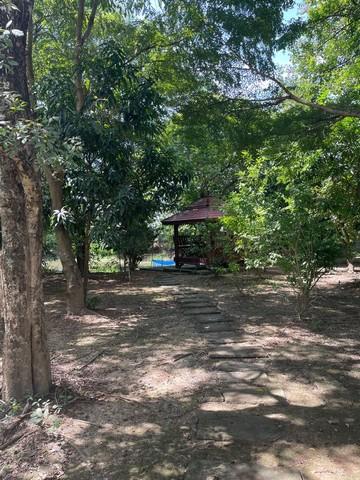 ขายที่ดินพร้อมบ้านหรูสองชั้นหลังใหญ่ ใกล้ตัวเมืองนครนายก 6