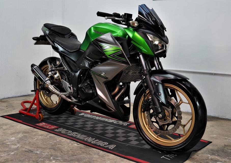 Z300 3