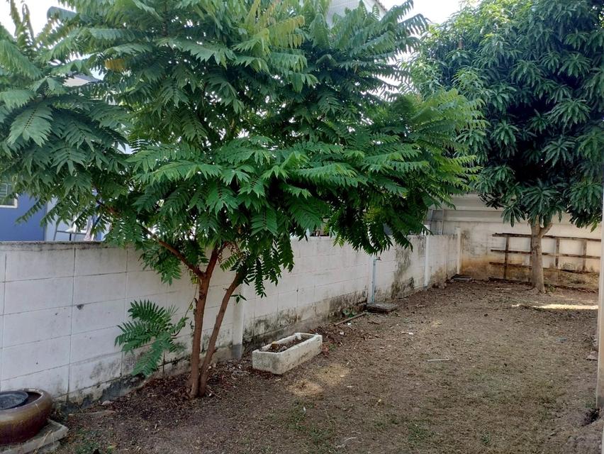 ‼️บ้านเดี่ยวราคาทาวน์เฮาส์ ‼️🏠ราคาเพียง 2.5 ล้านบาท 🔥🔥 19