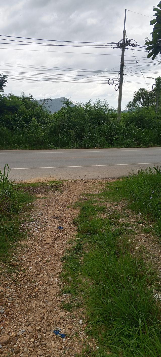 บ้านและที่ดินอสังหาริมทรัพย์ติดทางเข้าสะดวกสบายมีน้ำมีไฟ 3