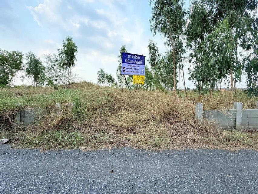 Vายที่ดินใกล้เวิร์คพอยท์ 218 ตารางวา ถมสูงทั้งแปลง ถนนเลียบคลองเปรม  อ.เมืองปทุมธานี จ.ปทุมธานี 4