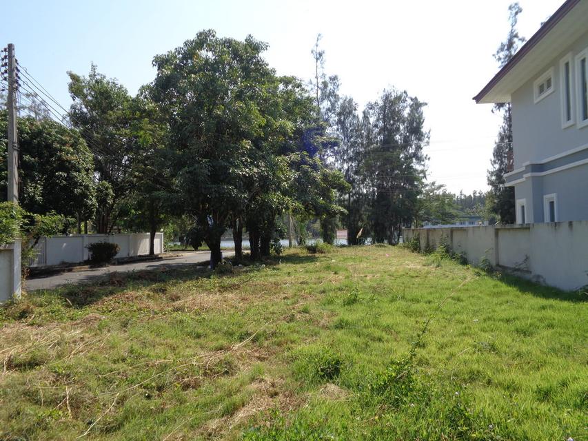 🚩 ขายที่ดินแปลงหัวมุม 129 ตารางวา ราคาถูกสุด❗ ทำเลดี ภายในโครงการหรูมีระดับ 20