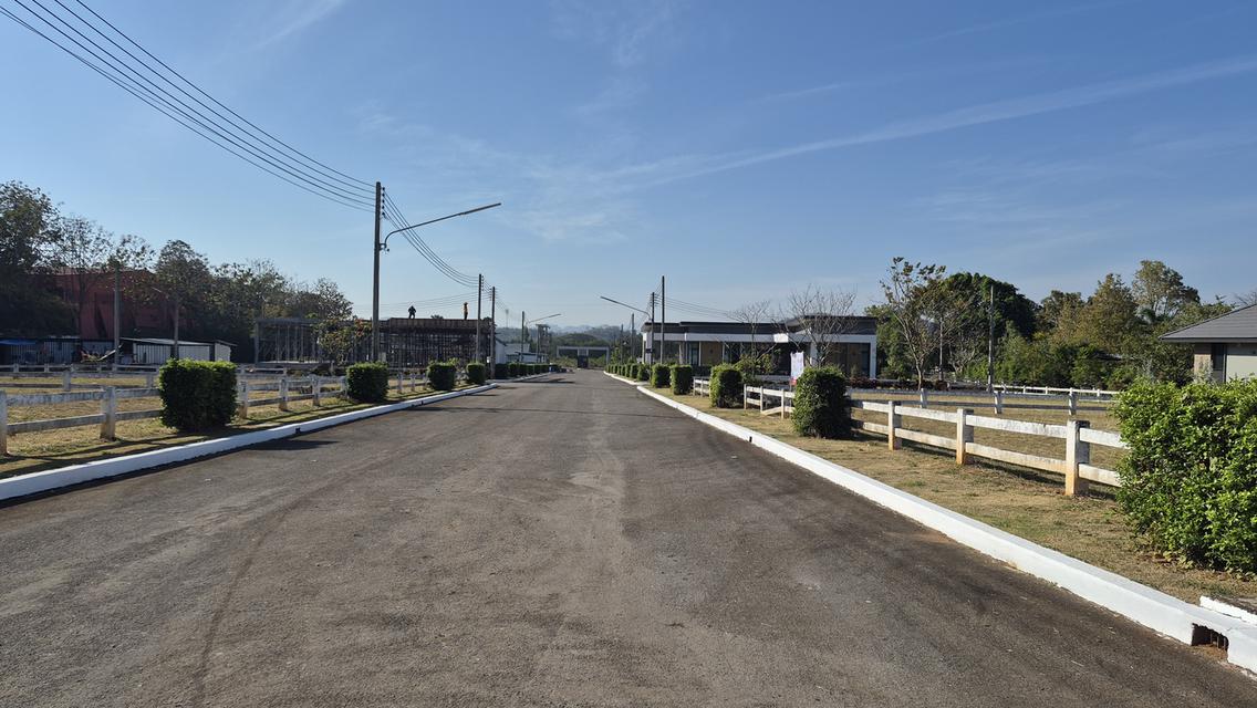 ที่ดินโครงการจัดสรร ต.ปากช่อง อ.ปากช่อง เนื้อที่ 151-343 ตรว. ว่าง 17 แปลง 1