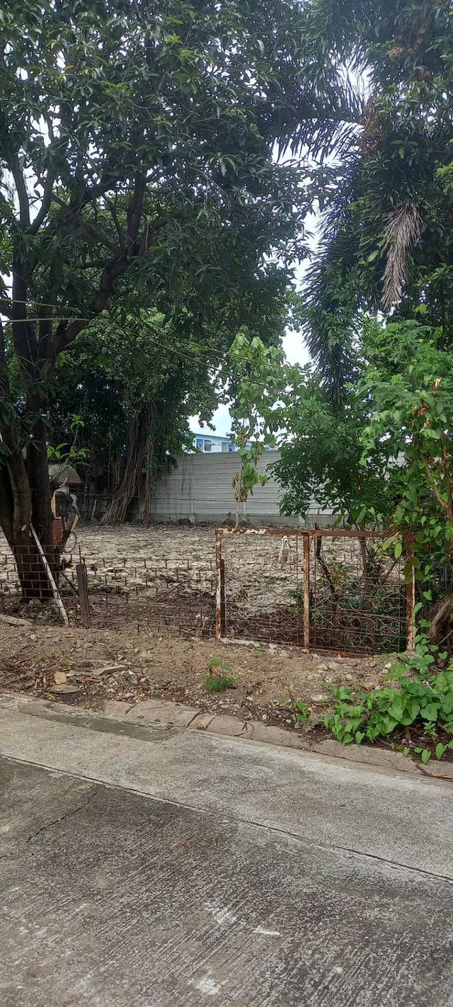 ขายด่วน! ที่ดินทำเลทอง 195 ตร.ว. ใกล้ MRT หลักสอง และเดอะมอลล์บางแค เข้าซอยเพชรเกษม 88/1 เพียง 300 ม. เหมาะสร้างบ้าน, อพาร์ทเม้นท์ หรือ Nursing Home 5