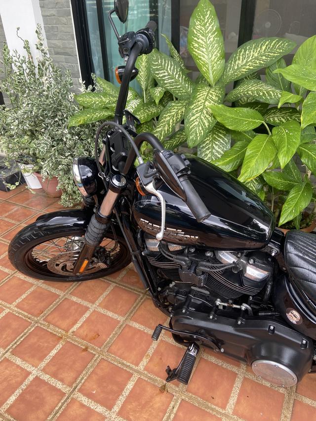 Hd street bob 1750cc มือสอง สภาพดี 13,000km