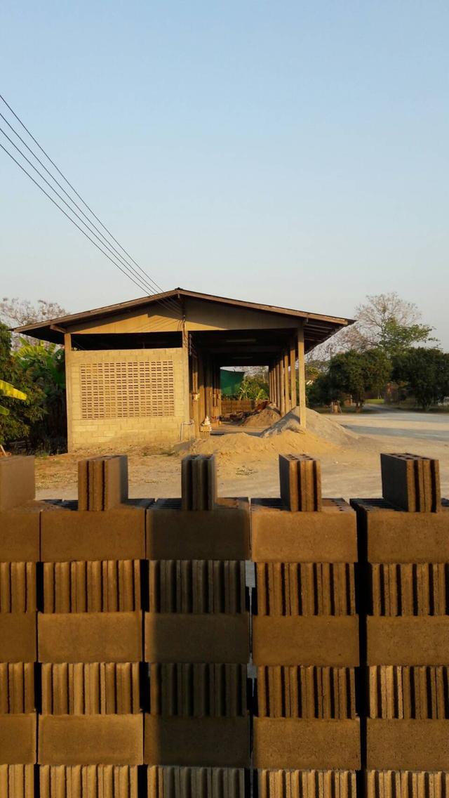 ที่ดินถมแน่นแล้ว 10 ไร่ ใกล้ชุมชนใหญ่ อ.เมืองลำพูน 12