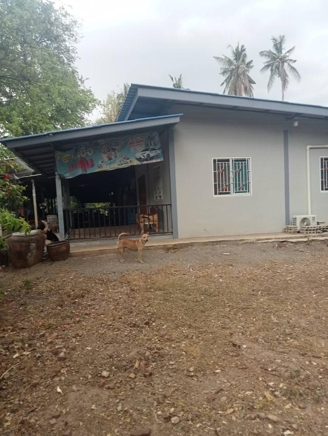 ขายที่ดินพร้อมบ้าน2หลัง 1ไร่95ตรว. ใกล้มหาวิทยาลัยราชภัฐหมู่บ้านจอมบึง ราชบุรี ด่วนมาก 2ล้านบาท 2