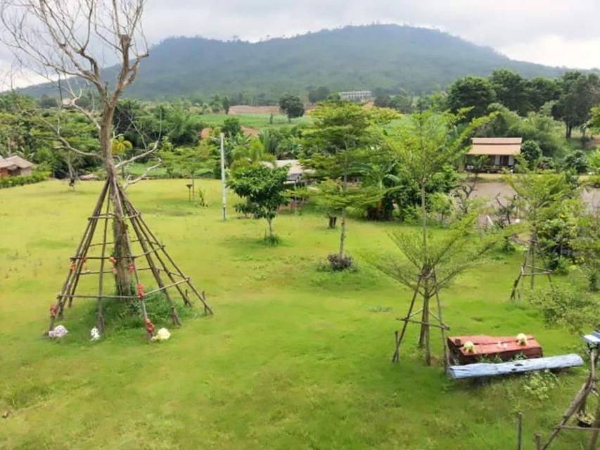 ที่ดิน พร้อมสิ่งปลูกสร้าง 9