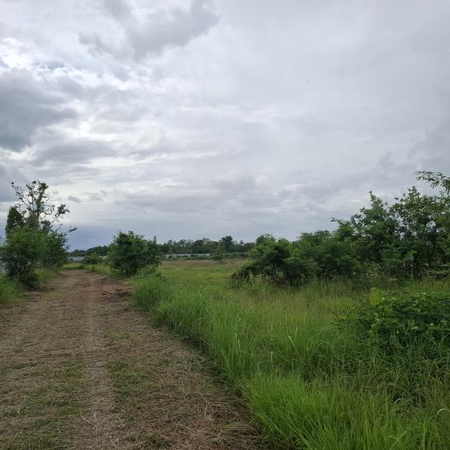 ขายที่ดินพร้อมโกดังติดวิวภูเขาสวยมากๆ