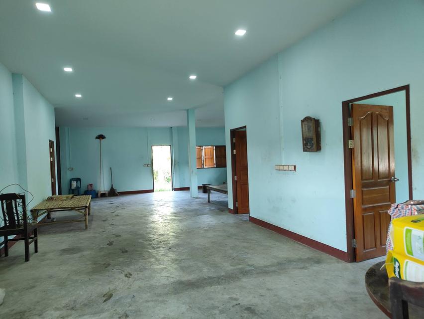 บ้านพร้อมที่ดินรวม1ไร่3งาน81ตรว. 15