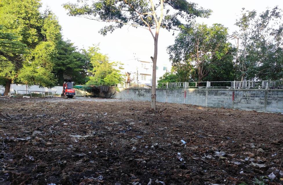 ขายที่ดินทำเลทอง ถมแล้ว 348 ตร.ว. ซอยเทพารักษ์ 14 (เมืองสมุทรปราการ) 4
