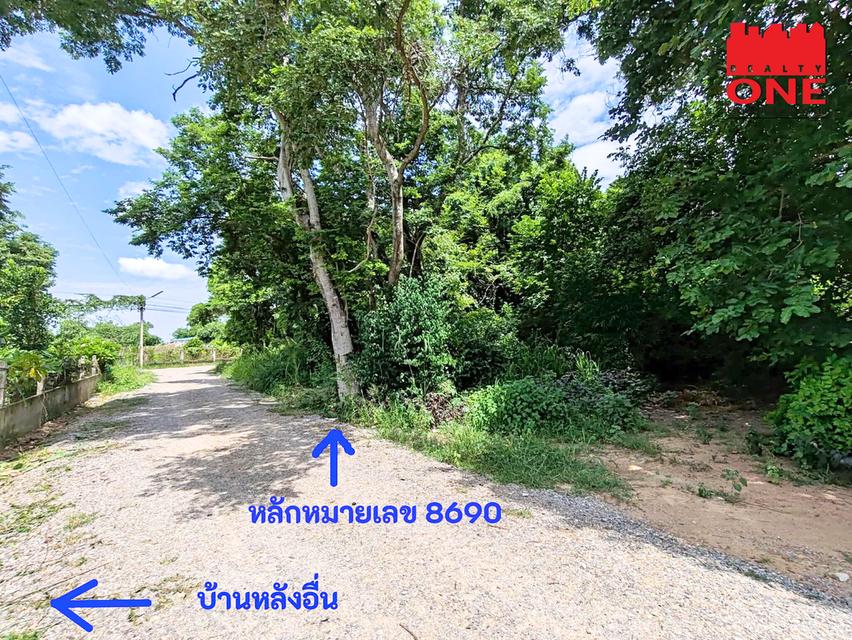 ที่ดินแบ่งขายราคาถูกมาก ทำเลดีในโคราช หัวทะเล ขนาด99 ตร.ว. เพียง 1.2 ล้านบาท (ต่อรองได้) ฟรีโอน 3
