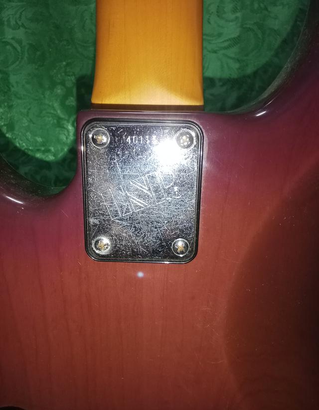 Bass ESP