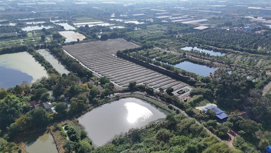 ที่ดินอสังหาริมทรัพย์ 4