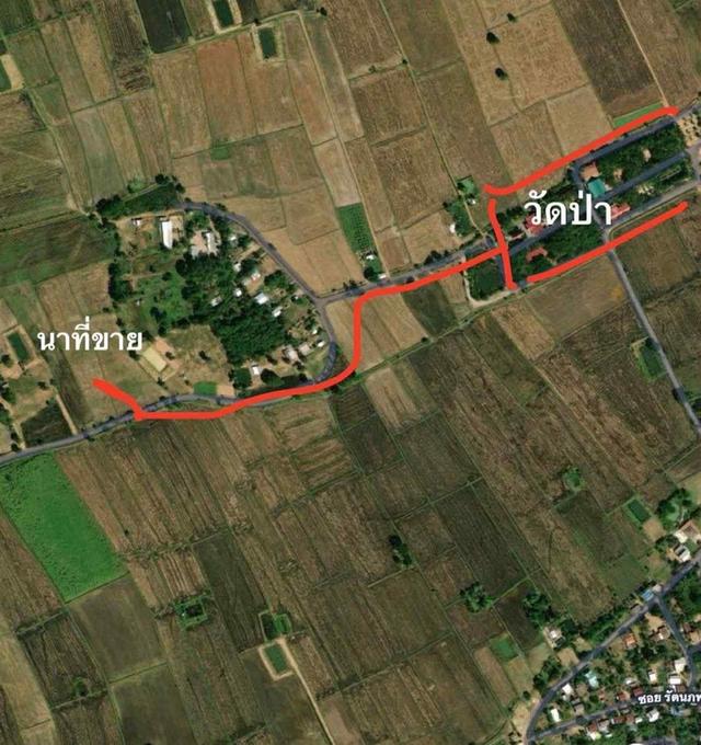 📍ขายที่นา 4ไร่ 3งาน 3.1ตารางวา หน้ากว้าง 38 เมตร น้ำไม่เคยท่วม มีไฟฟ้า น้ำปะปา ติดถนน 10