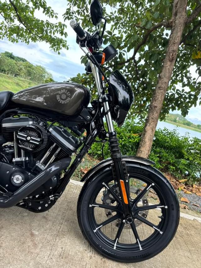 Harley Davidson Iron ปล่อยขายถูก 8