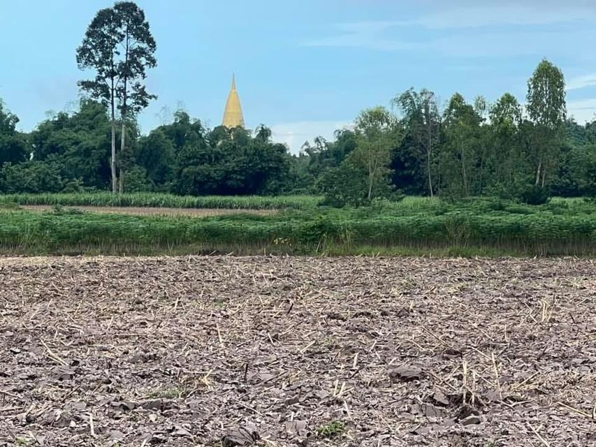 ขายที่ดิน12ไร่ จังหวัดอุทัยธานี