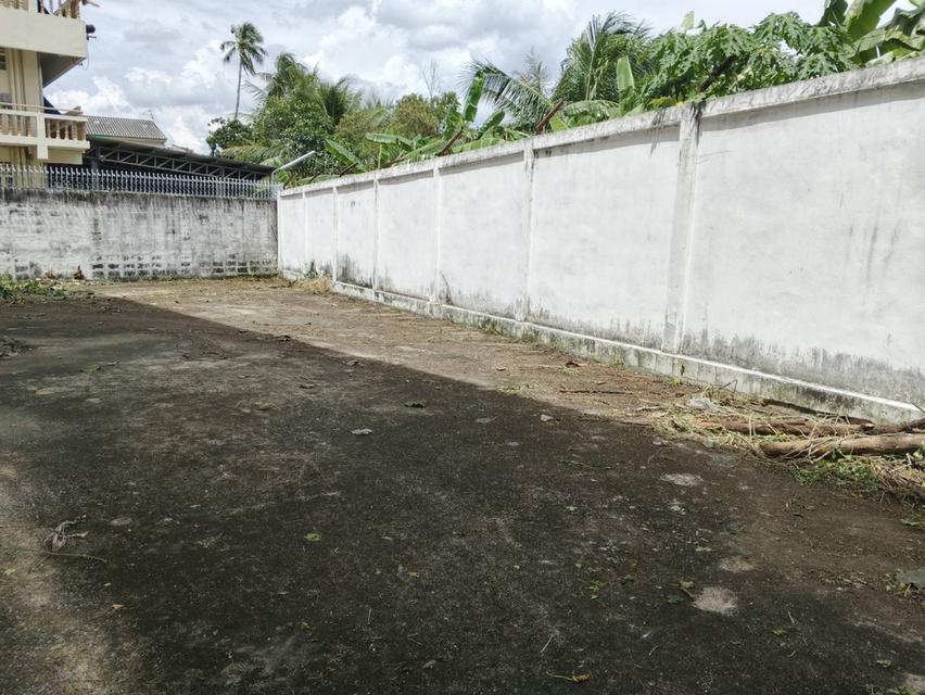 ขายที่ดินพร้อมสิ่งปลูกสร้าง เนื่อทีา603ตารางวา 11