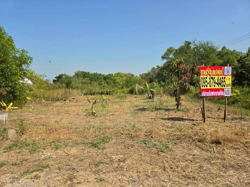 ขายด่วนที่ดิน 63 ตรว ติดถนนสาธารณะ ประชาสำราญ1 แขวงคลองสิบสอง เขตหนองจอก กทม. 6