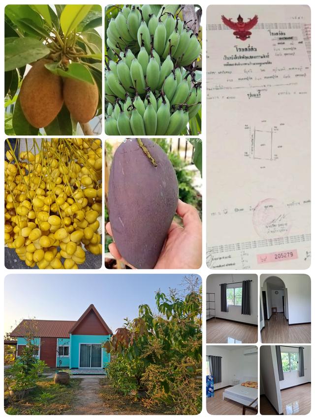 บ้านสวน 200ตรว. สุพรรณบุรี 1