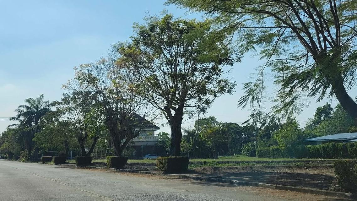 📣 ขายด่วน! ที่ดินผืนใหญ่ 500ตร.ว. ทำเลศักยภาพย่านมีนบุรี คลองสามวา 1